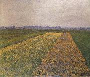Gustave Caillebotte Yellow field oil